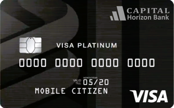 VISA PLATINUM CREDIT CARD